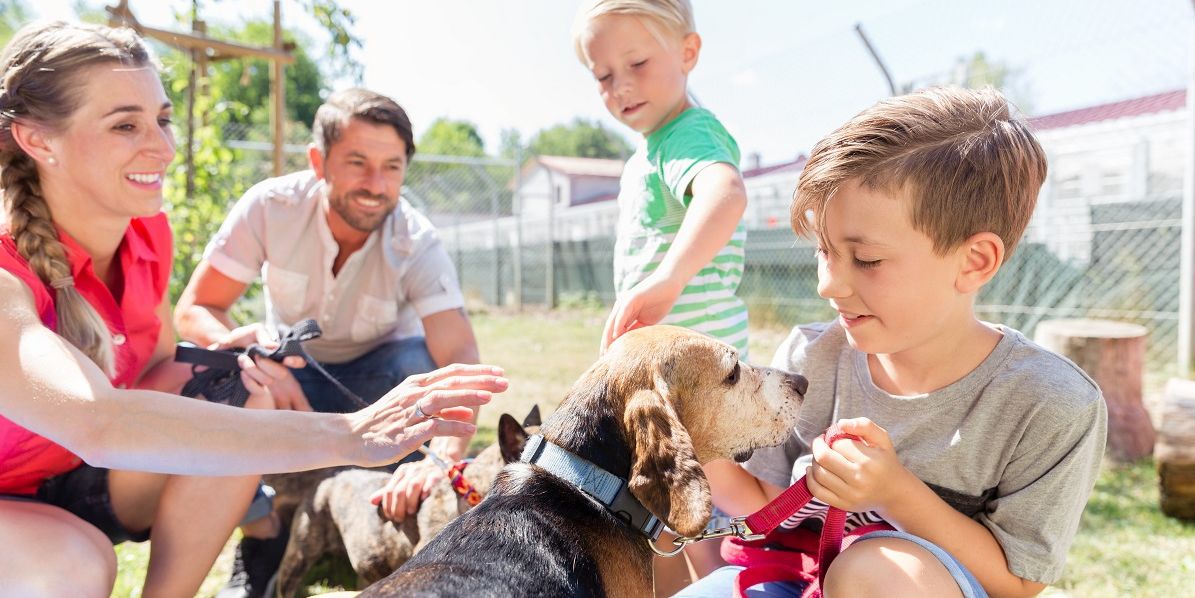 Junge Familie mit zwei Kindern auf der Suche nach einem Hund in einem Tierheim