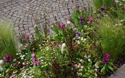 Ein Wildblumenbeet als Abgrenzung eines Gehwegs