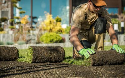 Gärtner verlegt frischen Rollrasen