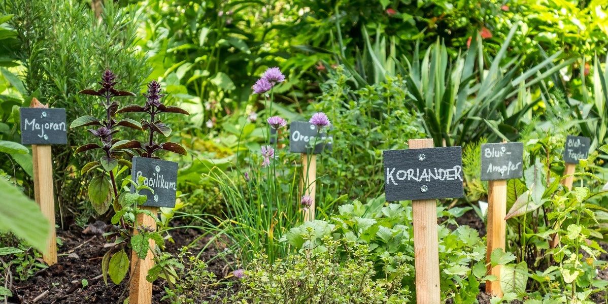 Ein im Garten angelegter Kräutergarten, mit durch kleine Schilder gekennzeichneten Kräutern