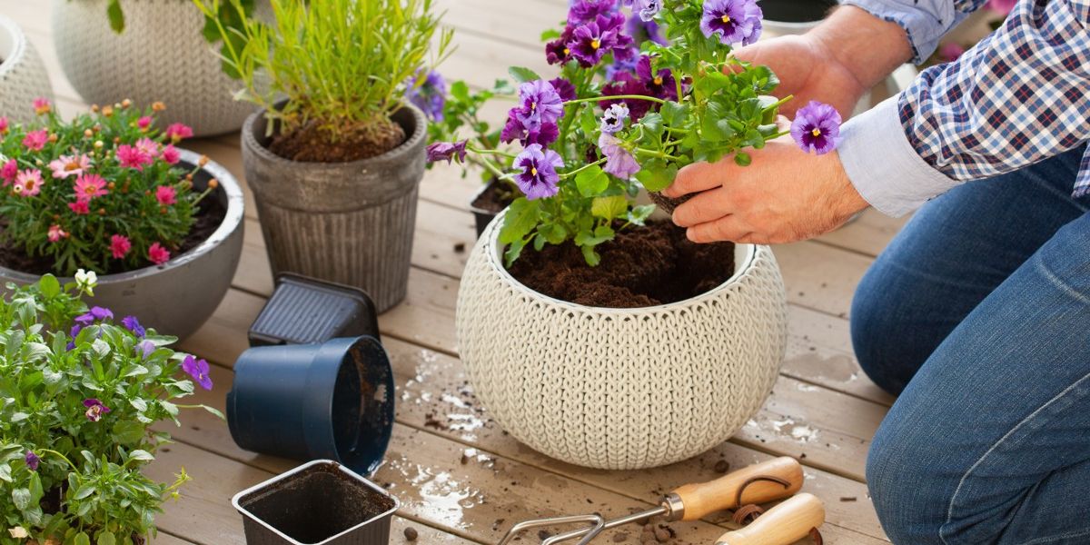 Diverse kleine Blumenkübel mit Bepflanzung für eine Terrasse