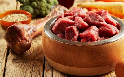 Biologisch artgerechte Rohfütterung