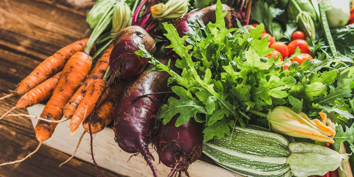 Auf einem Holztisch stehender Gemüsekorb mit frisch geerntetem Gemüse.