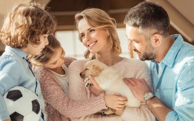 Kleiner und großer Hund nebeneinander liegend.