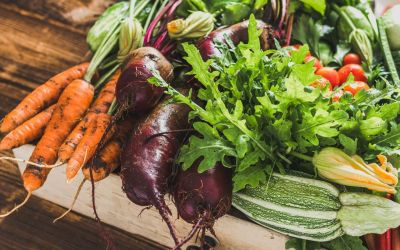 Holzkorb mit frischem Gemüse aus dem eigenen Garten