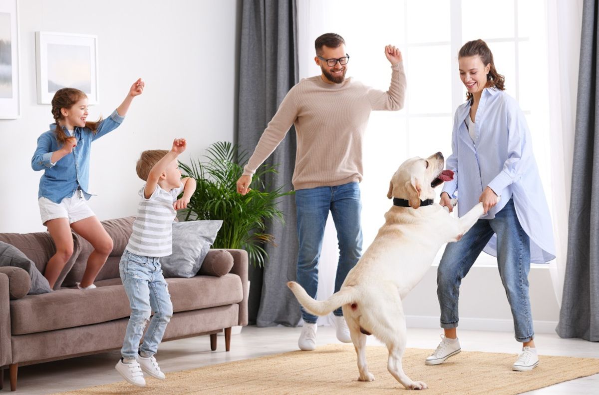 Familie spielt mit Ihrem grossen Hund in der Wohnung