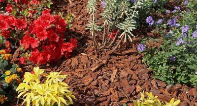 Roter Rindenmulch im Blumenbeet